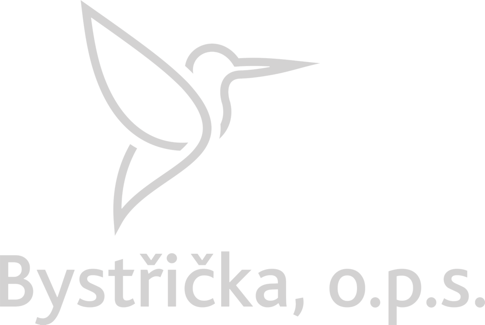 Místní akční skupina Bystřička
